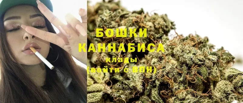 как найти наркотики  Североморск  Шишки марихуана Ganja 